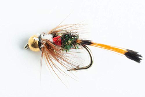 Blue Wing Olive Bead Head Royal Coachmen Nymph Fly, 6-Pack (#16)