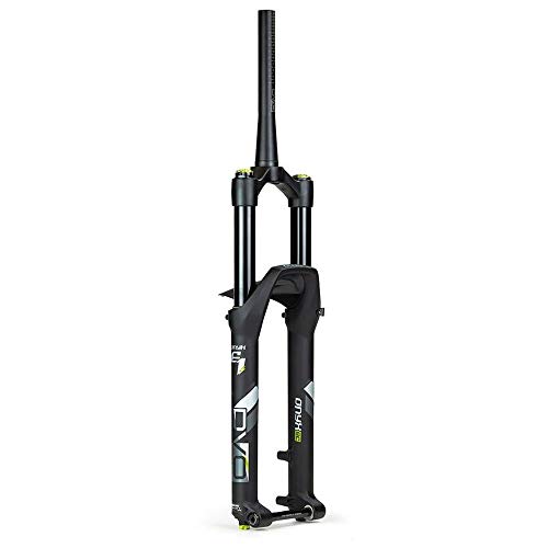 How to set up dvo forks