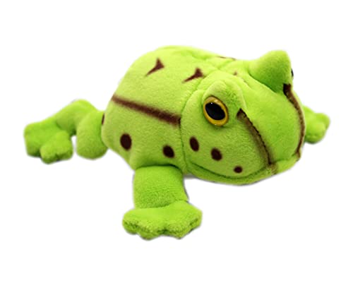 テイクオフ マグネット ベルツノガエルのサムネイル