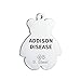 Bling Jewelry Addison Maladie Alerte Médicale ID Chien Teddy Bear Tag Pendentif Collier pour Femmes Adolescent Acier Inoxydable Personnalisé Gravé