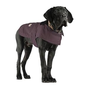 Carhartt Firm Duck Insulated Dog Chore Coat, Durable Weather Resistant Jacket for Cold and Windy Conditions, Contains PFAS (Deep Wine), Medium Carhartt Firm Duck Insulated Dog Chore Coat Durable Weather Resistant Jacket for Cold and Windy Conditions Contains PFAS Deep Wine Medium