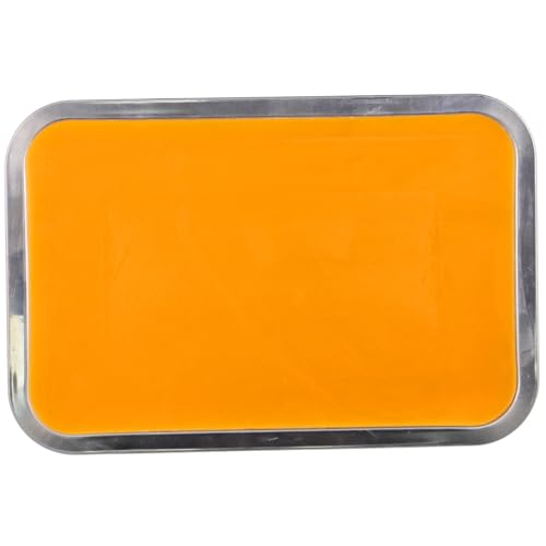 OSOLADY 1 Set Anatomy Tray Wax Holder Tray Laboratory Metal Tray Dissection Tray with Wax Dissecting Tray Dissection Pan Dissection Trays for Students Wax Melt Tray Stainless Steel