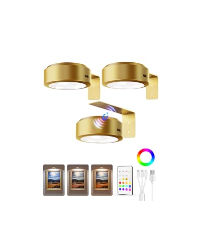 EZVALO Picture Lights for Wall, 2000mAh Rechargeable Battery Magnetic Poster Lights with 2 Color Temps & 12 RGB, Remote Dimmable Timer Painting Light, Wall Decor Light for Art Display, Frame (3 Pack)