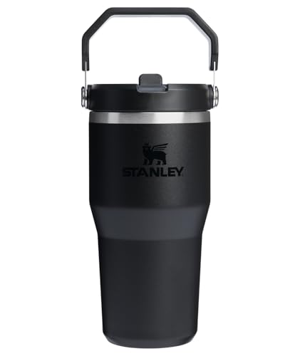 Stanley IceFlow 2.0 Flip Straw Tumbler with Handle 20 oz | Twist ...