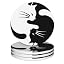 Black and White Cat