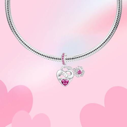 Image of Birthstone Charm 925 Sterling Silver Charms fits Bracelets and Necklace Pendant Bead Happy Birthday Charms Jewelry Present for Women Family Friends