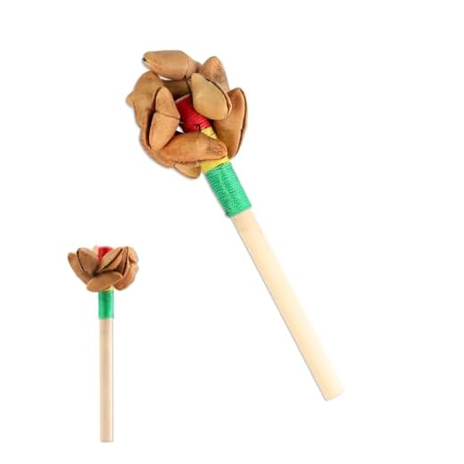 GOGHOST Sonajero africano natural de semillas de cacao hecho a mano, regalos de percusión, instrumento musical peruano, sonidos naturales para meditación, ASMR, terapia de sonido, yoga (chacha)