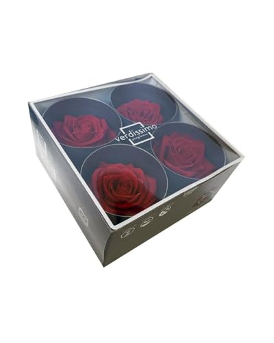 4 Reali, konservierte Rose Teste Premium; Colore Rosso, dazu 25 Gr. kons erviertes Muschio