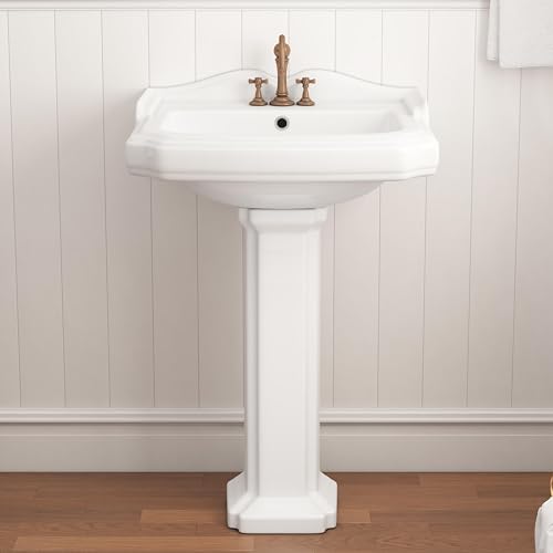 Eridanus 23"W x 19"D Bathroom Pedestal Sink with Backsplash, White