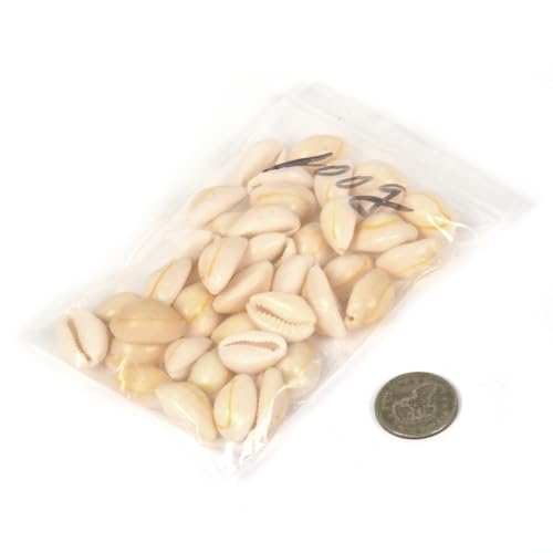 Image of 100 grams Small Tumbled Chips Polished Crushed Stone Crystal Healing Embellishments