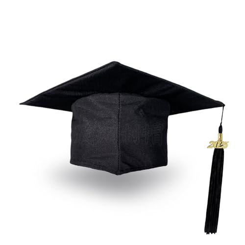 AYNKH Abschlusskappe mit goldenem Anhänger 2024, Abschlusshut, Universitätsabschluss mit Quaste, für akademische Abitur, Bachelor, Karton, verstellbar