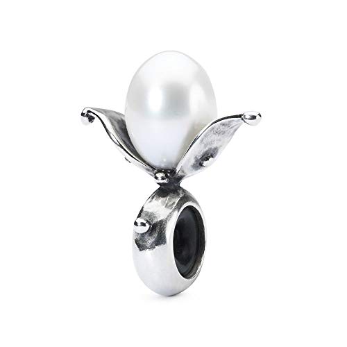 TAGBE-00213