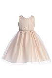 Blush Pink Flower Girl Dresses for Wedding Toddler Vestidos para niñas Elegantes ocasiones especiales Fiesta Birthday Special Occasion Easter Dress 5t Party Formal 5 años Tulle Fancy
