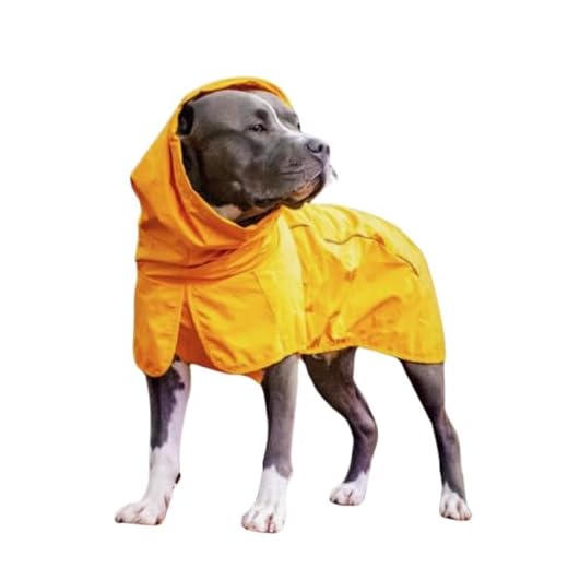 Mustard Yellow Dog Raincoat with Coverage