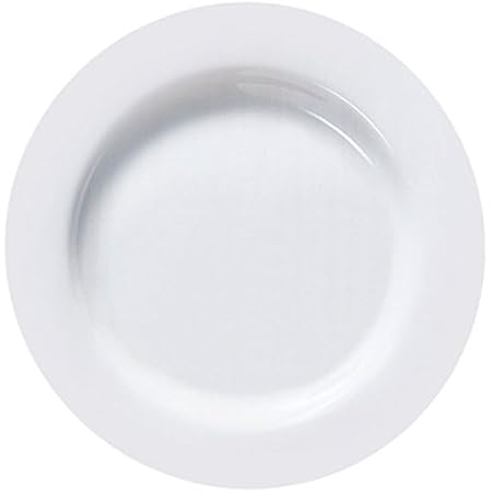 Buy Arcoroc Evolution Dinner Plate 27 Cm 6 Plates Online At Low Prices In India Amazon In