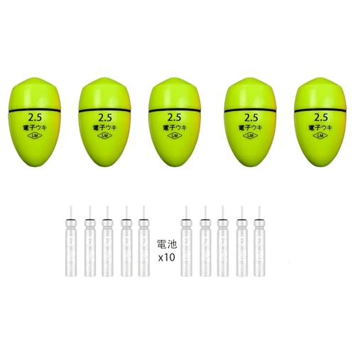 dqEL5Ɠdr10̃Zbg ނpt[^[ _ U@\tނt[g Cނ  EL led u (, 2.5)