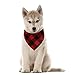 WORDERFUL Dog Bandana Bibs Pet Plaid Scarf Triangle Head Scarfs Accessories Neckerchief for Small and Medium Dog (Plaid, M)