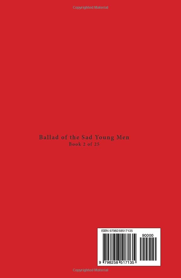 Sing A Song Of Sad Young Men Édition Collector Pressage Audiophile - 3