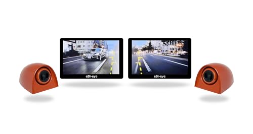 Amazon.co.jp: 蝦眼(エビアイ) S506-R【 安全をシンプルに