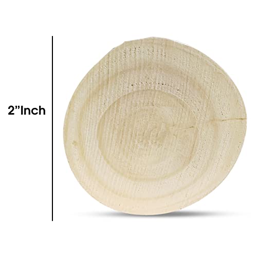 Congo-2pc-45X2-Inch-Rolling-Roller-Toy-for-Finches-Budgies-Conures-Lovebirds-Cockatiels-and-Other-Birds-Pack-of-2