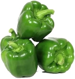 Willvine Organic Green Capsicum-HQ-22Y