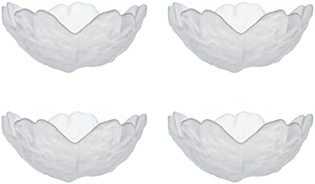 Vitbunana Japanese Seasoning Dishes 4Pcs，Frosted Glass Appetizer Plate, Sakura Sushi Soy Sauce Bowl, Appetizer Plate, Dessert Bowl, Fruit Plate (Frosted White)