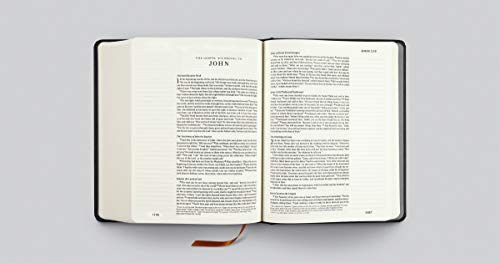 Single Column Journaling Bible: English Standard Version, Artist Series - Joshua Noom, the Lion and the Lamb