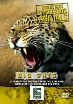 その他 Wildlife: Big Cats &amp; Predators [DVD] その他 Wildlife: Big Cats & Predators [DVD] Amazon.com: Big