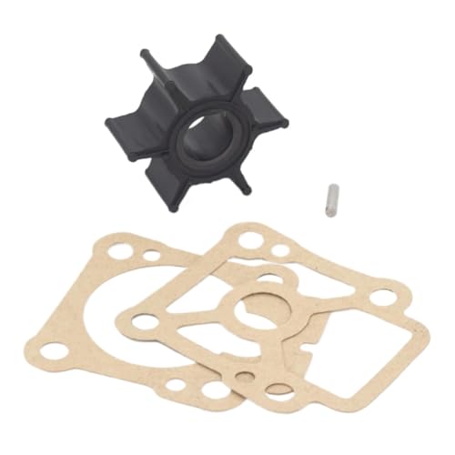 Kit turbine de pompe à eau résout problème surchauffe moteur bateau 8 à 9.9 CV