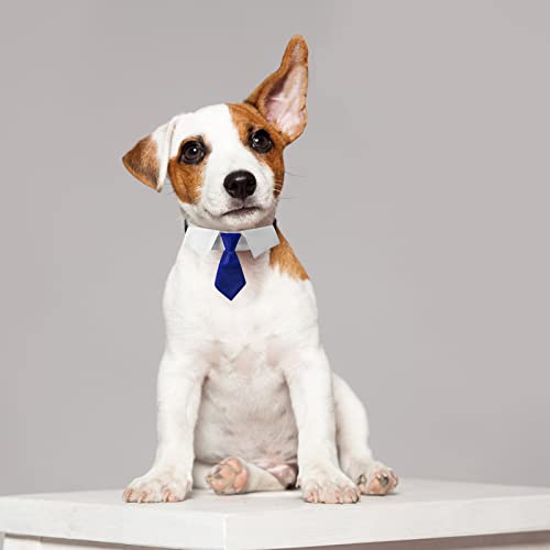HACRAHO Dog Neck Tie Collar - Image 4