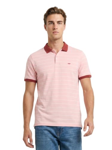 Image of Park Avenue Men Slim Fit Stripe Pattern Pure Cotton Polo Neck Half Sleeve Casual T-Shirt