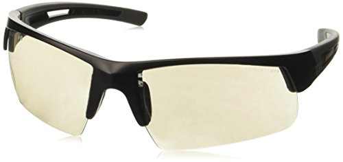 DeWalt DPG100-9D Safety Glasses