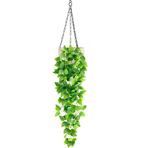 Image of Tdas Plastic Artificial Plants With Pot Leaves Hanging Ivy Garlands Plant Greenery Vine Creeper Home Decor Door Wall Balcony Decoration Party Festival Craft (Design 1 (1 Pcs))
