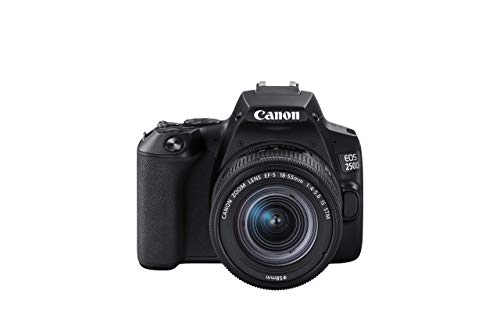 Canon EOS 250D + Canon EF-s 18-55mm f/4-5.6 IS STM Lens - Black (Renewed)