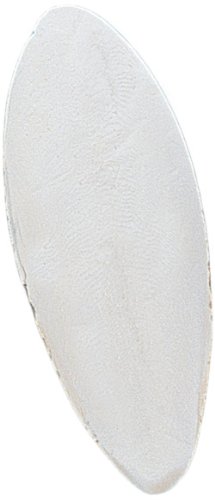 Nobby Cuttle Fish, 6 - 20,3 cm, 1 kg