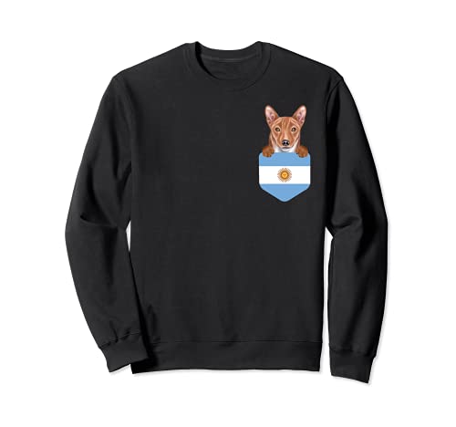 Argentina Flag Basenji Dog In Pocket Sweatshirt, Black