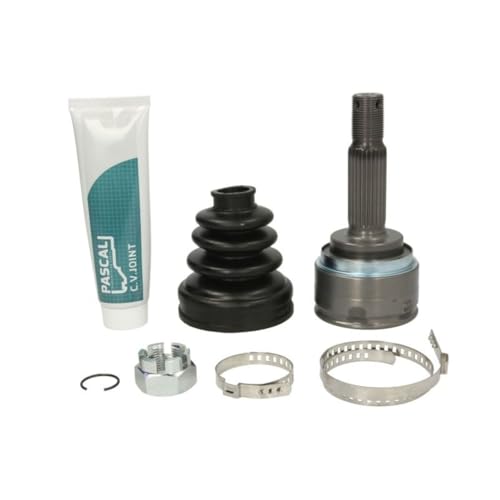 Pascal G10546PC - Seal, control shaft