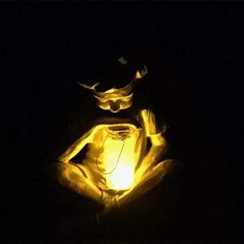 JJJ Ornamenti da Giardino Statue Creative Statue Solar Prato for Park Park Courtyard Luci LED Decorazione del Giardino (2 PCS)