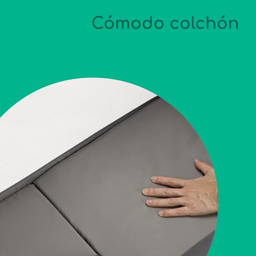 Bebeconfort Amara, Cuna Bebé, 0-6 Meses, 0-9 kg, Cuna Colecho Bebé, Cuna de Colecho y Moisés 2 en 1, Cuna Plegable en 3 Segundos, Fácil de Mover, Práctica Bolsa de Viaje, Tinted Graphite - imagen 6