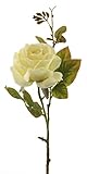 mucplants Rose 71cm cremefarbene Kunstblumen künstliche Blumen Seidenblumen Rosen Rosa Rosaceae