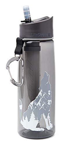 Image of LifeStraw Go Water Filter Bottle with 2-Stage Integrated Filter Straw for Hiking, Backpacking, and Travel