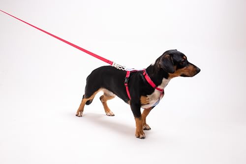 Freefaro - Peitoral H Imaginario - P