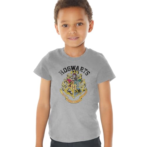 Harry Potter Distressed Hogwarts Crest Kids T Shirt for Youth Toddler Boys and Girls