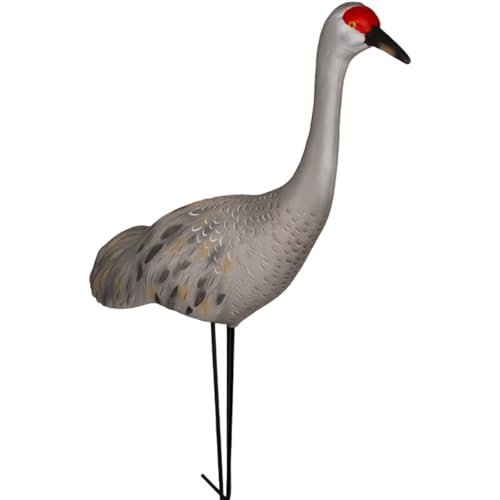Final Approach Live Full Body Sandhill Crane Upright Decoys