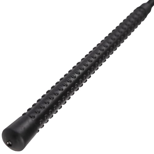 PFIFF 103104 Zweiteilige Longierpeitsche, Bogenpeitsche, Fiberglaskern, Rutschhemmender Griff | Schwarz 180