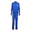 team royal blue