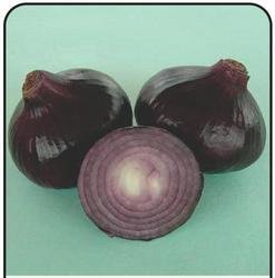 Raunak Seeds Omaxe Onion Star Z Black Variety !!Sold By Raunak Seeds, Delhi !! !!Avg 30-50 Seeds!! X 2 Packets (B01IZRS1WS) Amazon Price History, Amazon Price Tracker