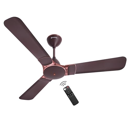 Ceiling fans