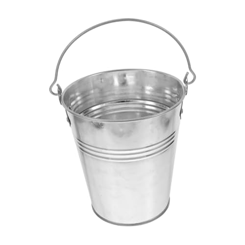 Toddmomy Eisenpflanzgefäß Für Zuhause Rustikaler Getränkeeimer Für Partys Metalleimer Mit Griff Mini-behälter Für Bonsai Und Dekoration Retro Pflanzenvase