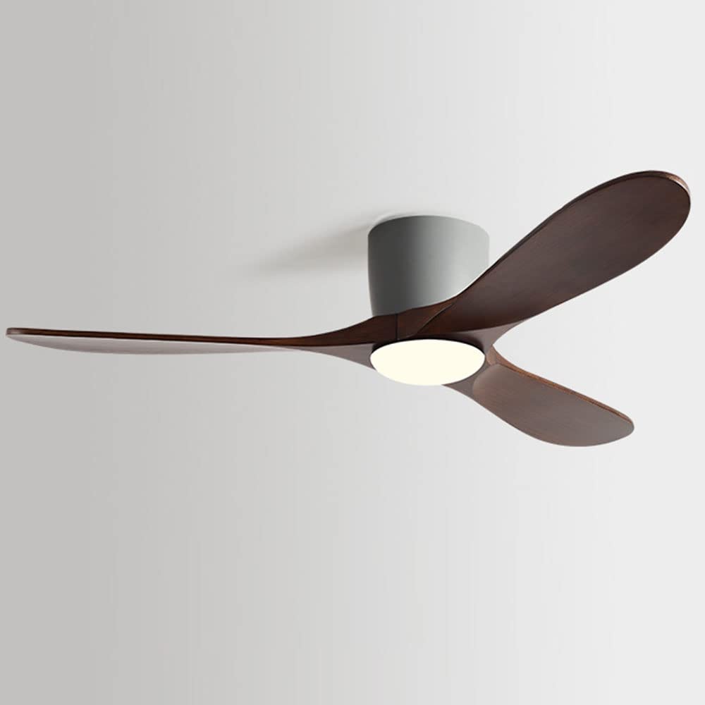 Ventilateur de plafond avec lumière LED et télécommande 30dB salon